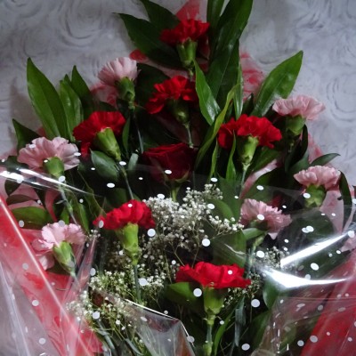 Red and Pink Carnation Bouquet with Single Red Rose